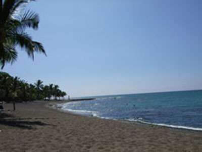 All Travel Company
