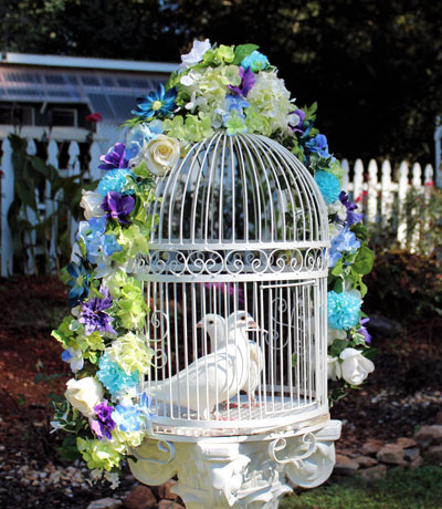 A Dove